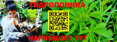 мяу мяу кристалл Кингисепп