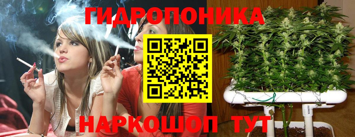Конопля сатива Красноармейск